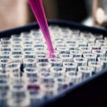 Pipette with purple fluid