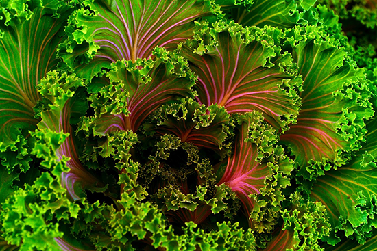 Bunches of kale