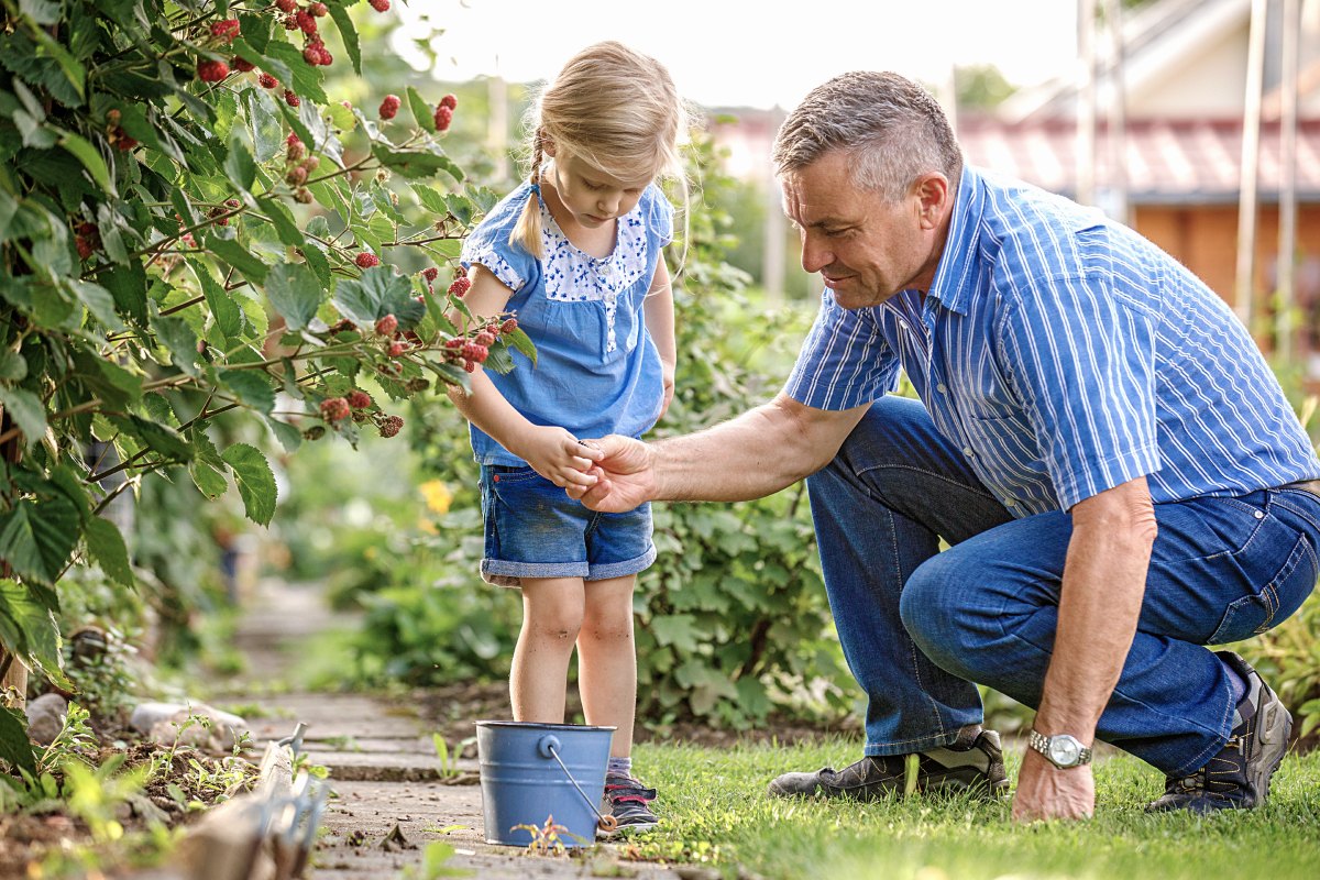 Grandfather crouching in garden with granddaughter picking raspberries after hip replacement recovery, demonstrating restored mobility and active lifestyle.